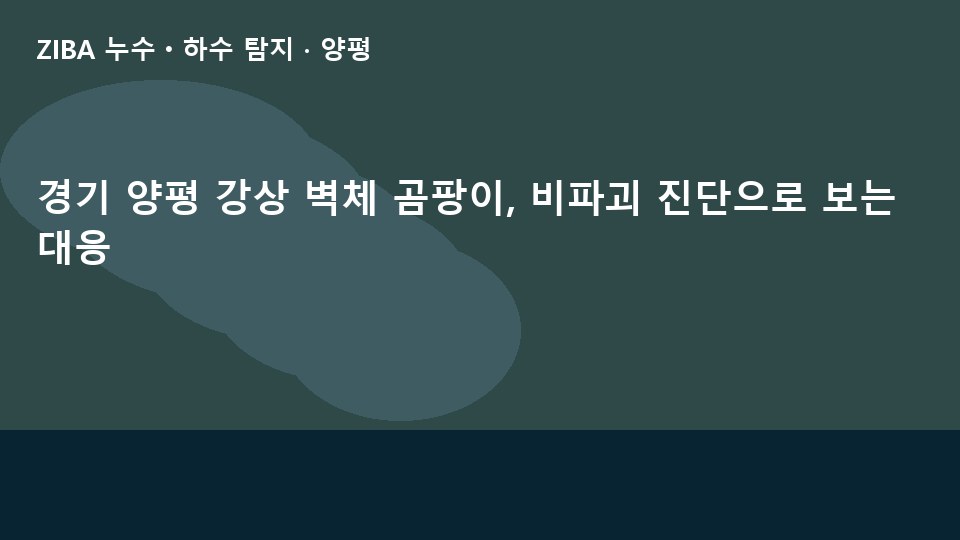 경기 양평 강상 벽체 곰팡이, 비파괴 진단으로 보는 대응