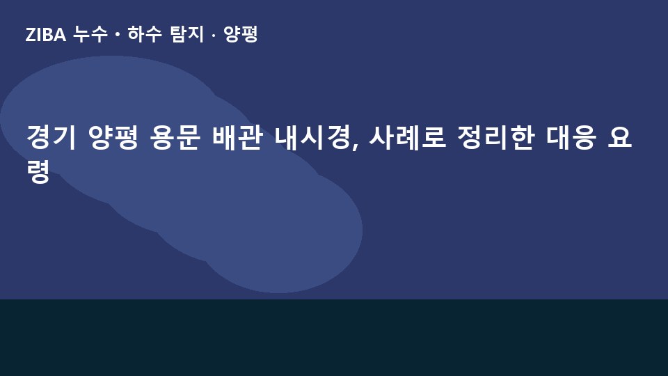 경기 양평 용문 배관 내시경, 사례로 정리한 대응 요령