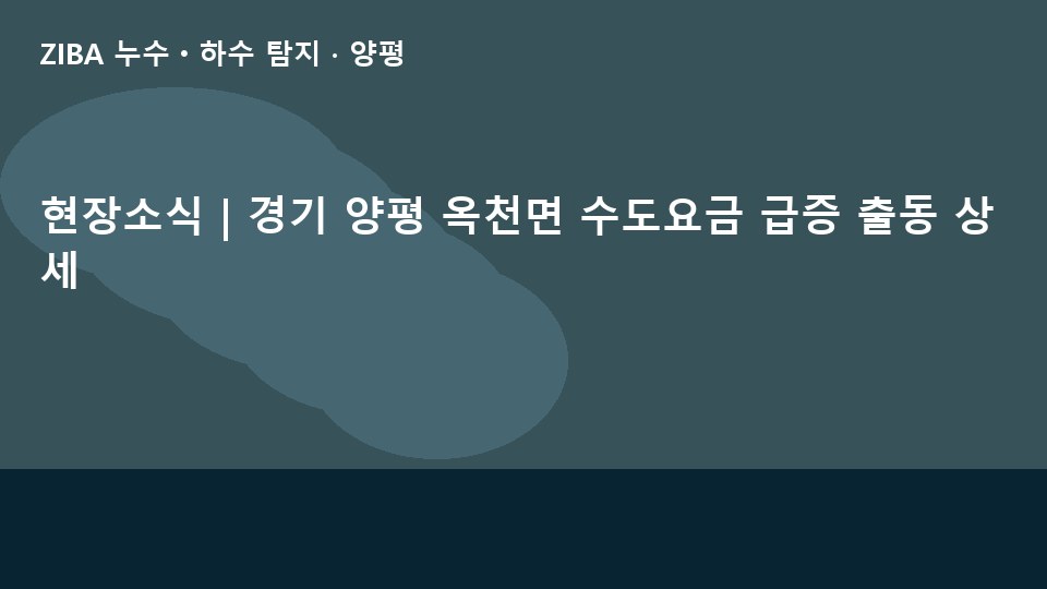 현장소식 | 경기 양평 옥천면 수도요금 급증 출동 상세
