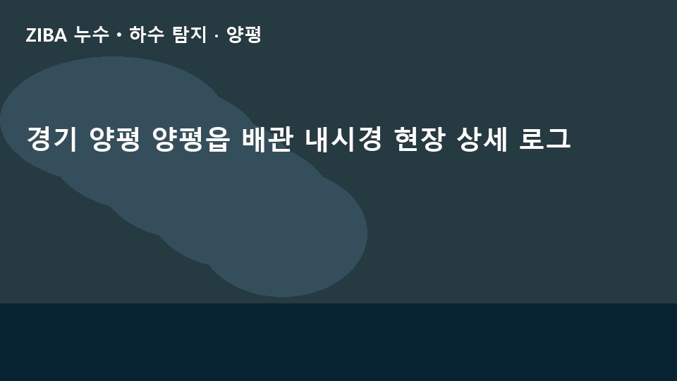 경기 양평 양평읍 배관 내시경 현장 상세 로그