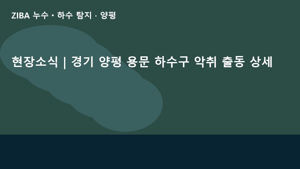 현장소식 | 경기 양평 용문 하수구 악취 출동 상세