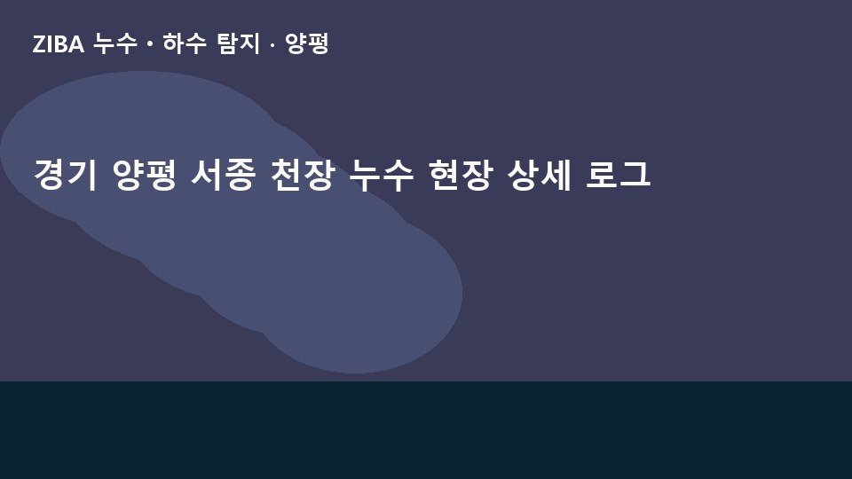 경기 양평 서종 천장 누수 현장 상세 로그